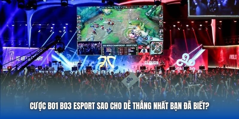 Cược Bo1 Bo3 Esport Sao Cho Dễ Thắng Nhất Bạn Đã Biết?