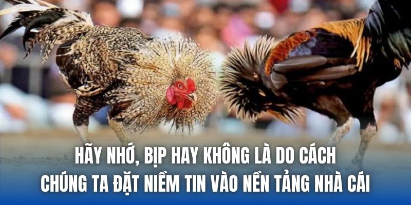 Hãy nhớ, bịp hay không là do cách chúng ta đặt niềm tin vào nền tảng nhà cái