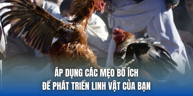 Áp dụng các mẹo bổ ích để phát triển linh vật của bạn