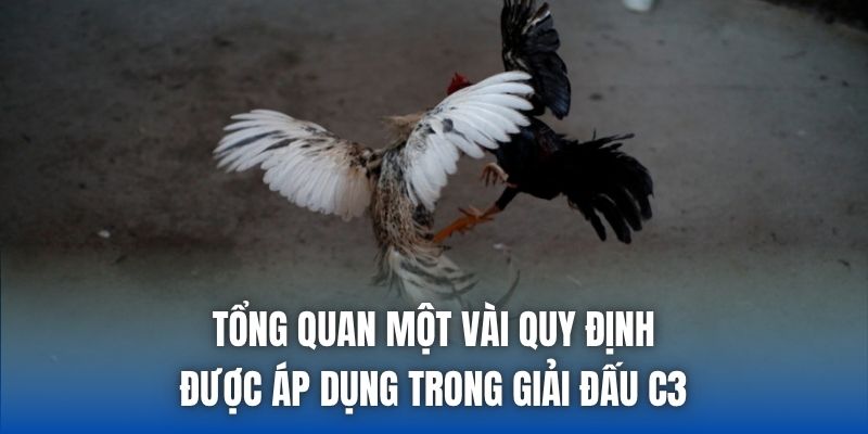 Tổng quan một vài quy định được áp dụng trong giải đấu C3