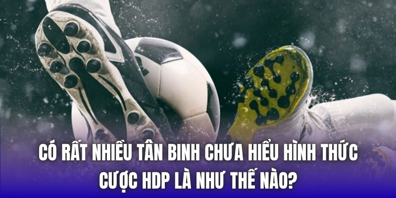 Có rất nhiều tân binh chưa hiểu hình thức cược HDP là như thế nào?
